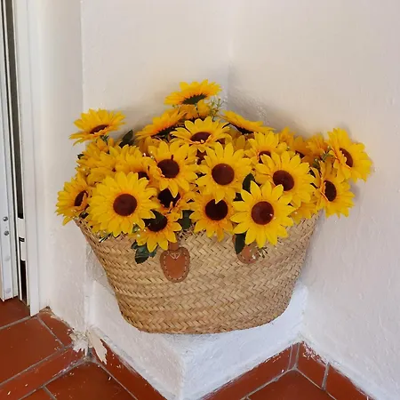 Blue Dragon River House Vakantiehuis *