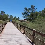 Blue Dragon River House