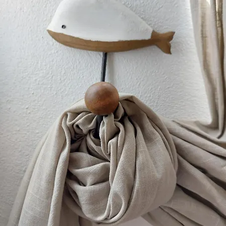 度假居 Blue Dragon River House