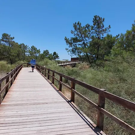 Blue Dragon River House